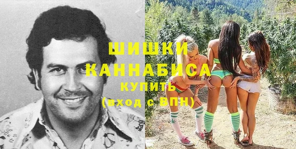 стаф Абаза